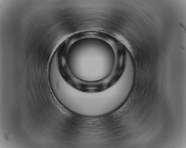 X0000091471332200708231330