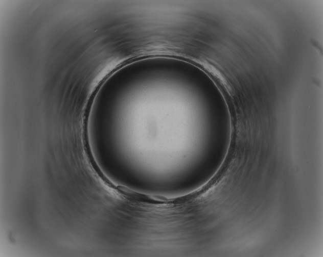 X0000091471333200708231330