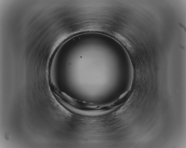 X0000091471334200708231330