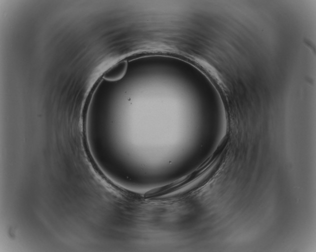 X0000091471335200708231330