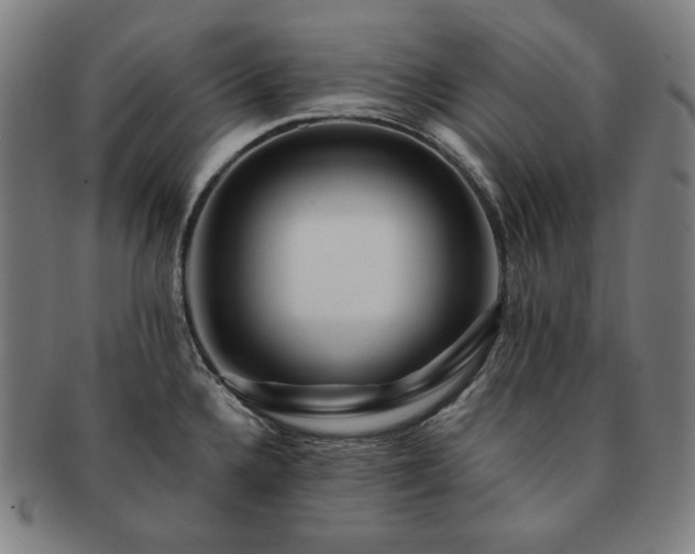 X0000091471336200708231330