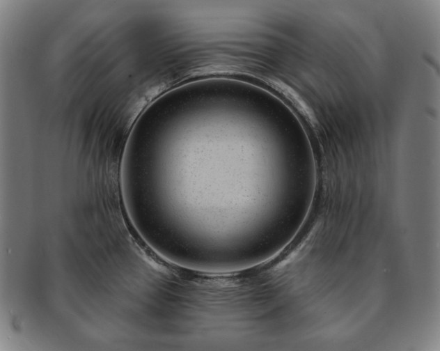 X0000091471337200708231330