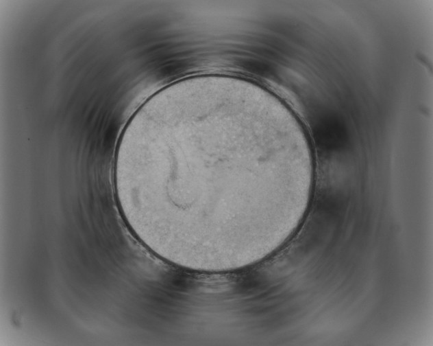 X0000091471338200708231330