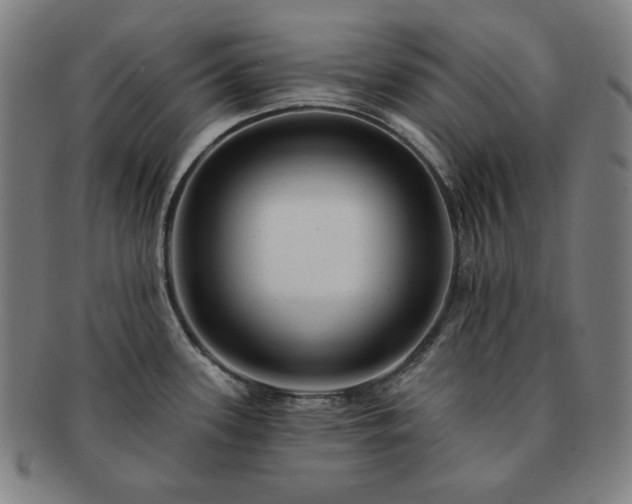 X0000091471339200708231330