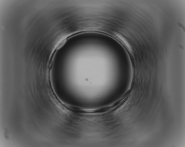 X0000091471340200708231330