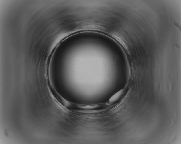 X0000091471342200708231330