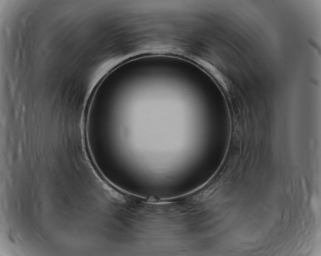 X0000091471343200708231330