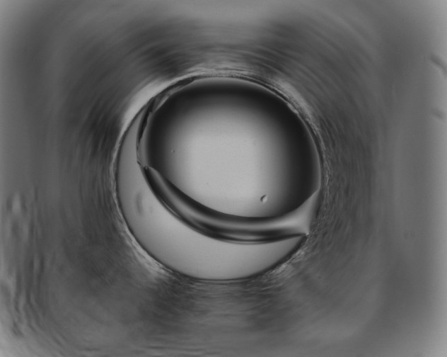 X0000091471344200708231330