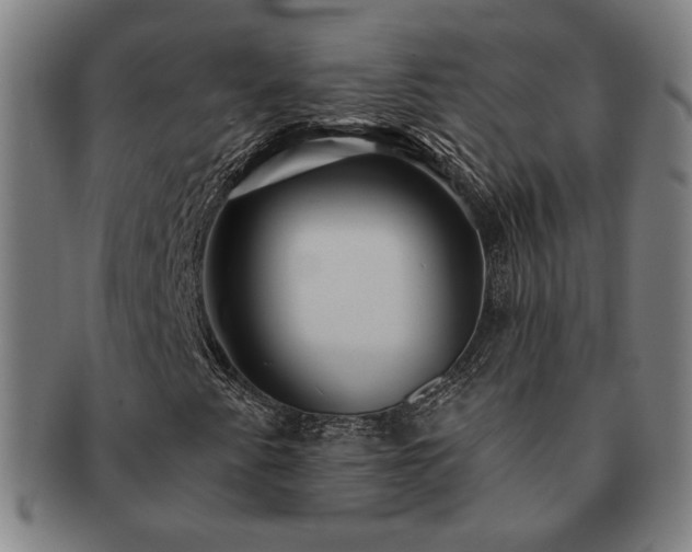 X0000091471345200708231329