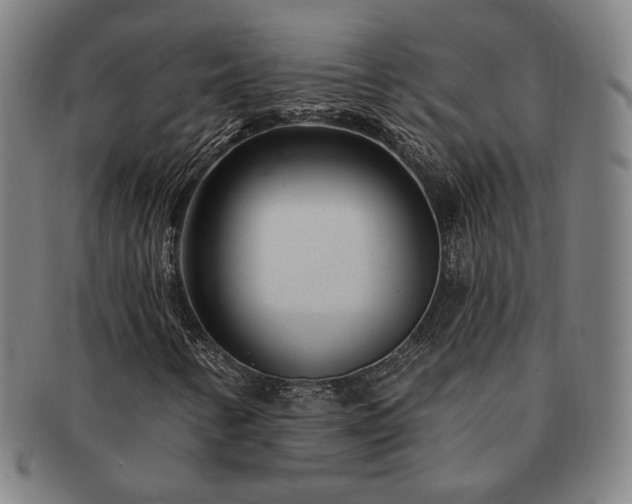 X0000091471346200708231329