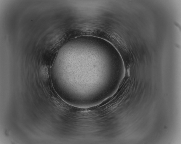 X0000091471347200708231329