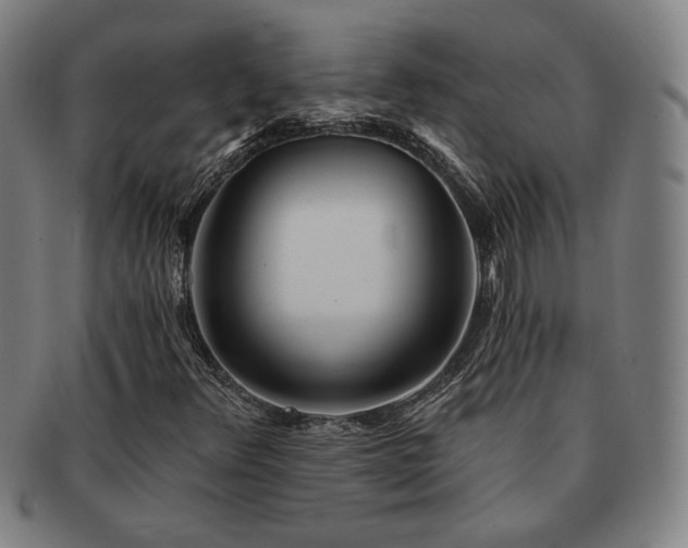 X0000091471348200708231329