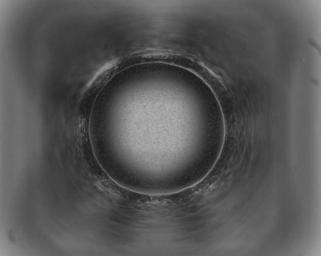 X0000091471351200708231329