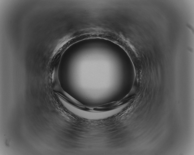 X0000091471352200708231329