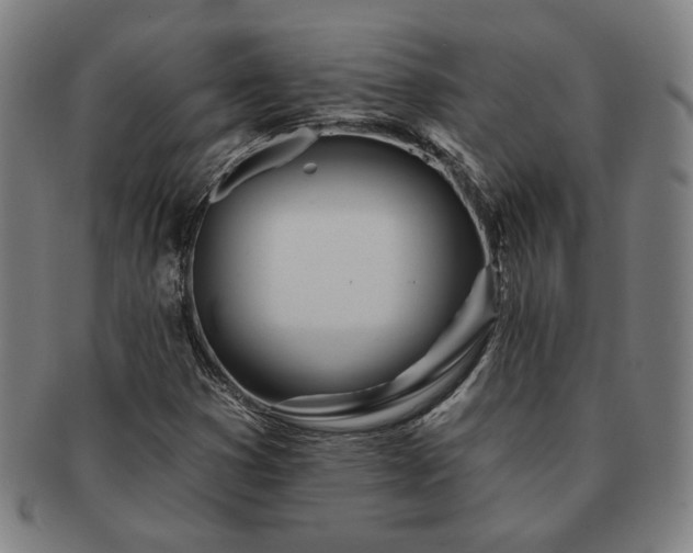 X0000091471353200708231329