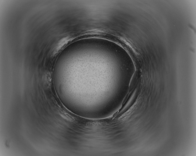 X0000091471355200708231329