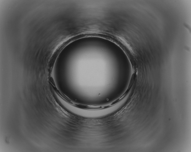 X0000091471356200708231329