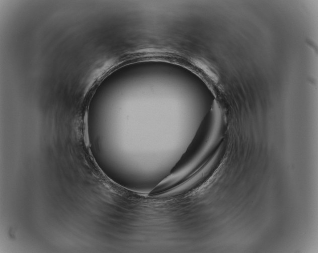 X0000091471357200708231329