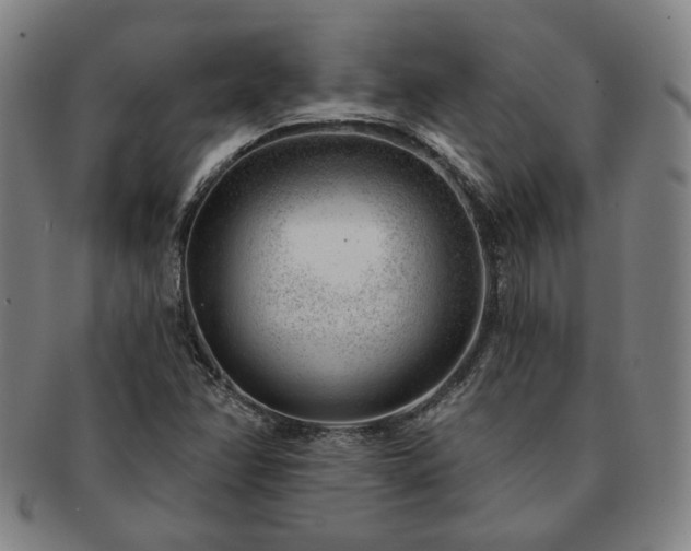 X0000091471358200708231329