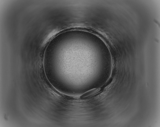 X0000091471359200708231329