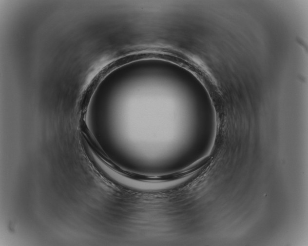 X0000091471360200708231329