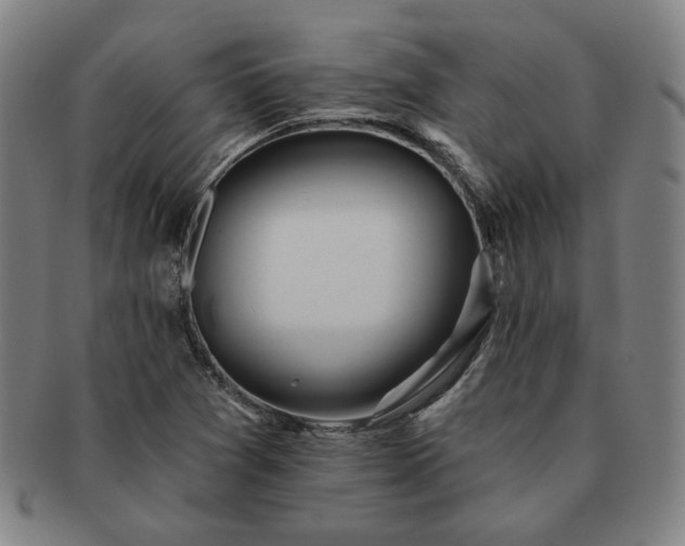 X0000091471361200708231329