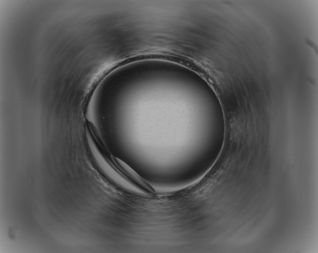 X0000091471363200708231329