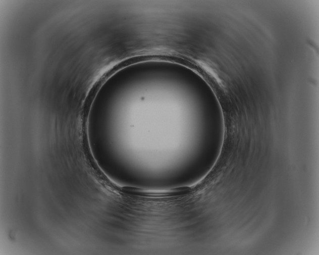 X0000091471364200708231329