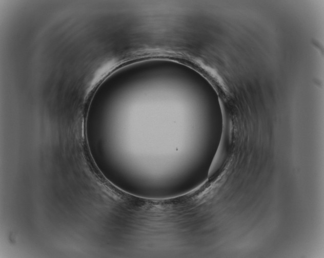 X0000091471365200708231329