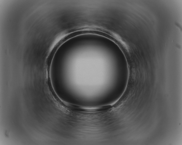 X0000091471368200708231329