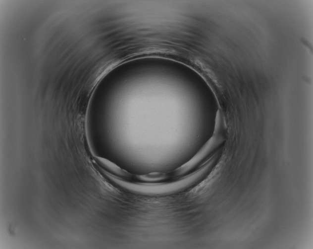 X0000091471369200708231329