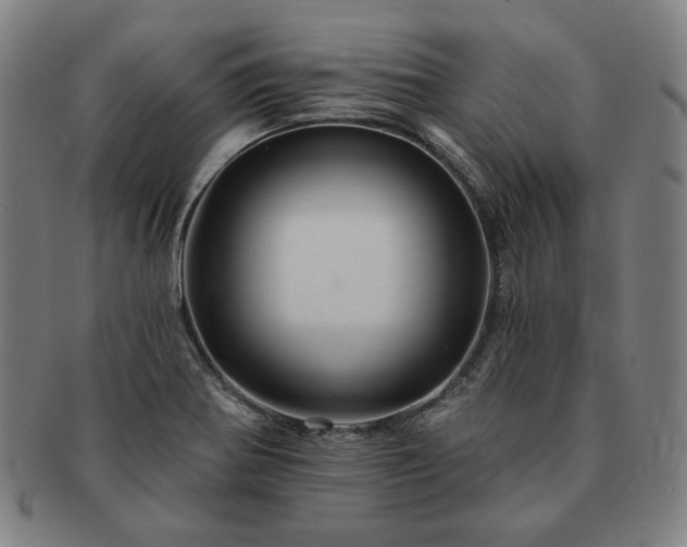 X0000091471370200708231329