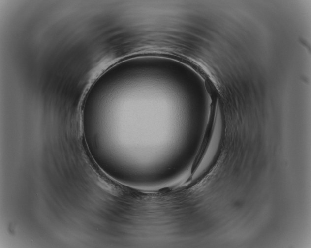 X0000091471371200708231329