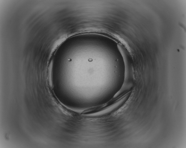 X0000091471373200708231329