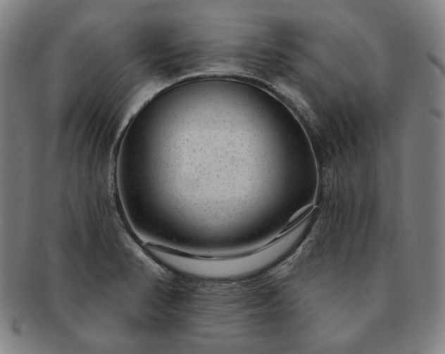 X0000091471374200708231329