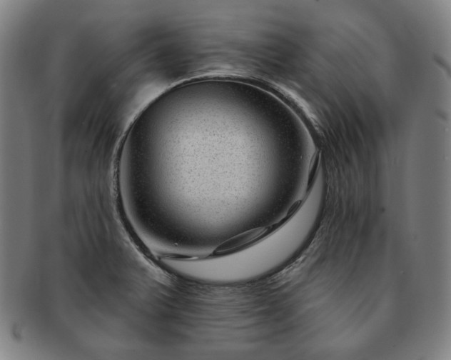 X0000091471375200708231329