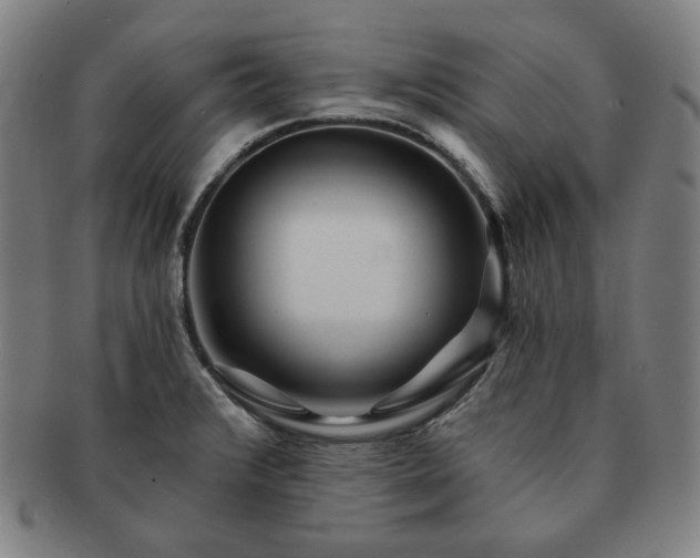 X0000091471376200708231329