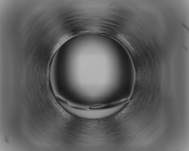 X0000091471378200708231329