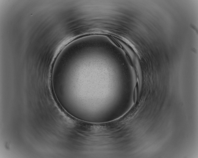 X0000091471379200708231329