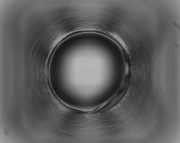 X0000091471380200708231329