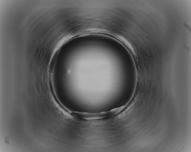 X0000091471381200708231329