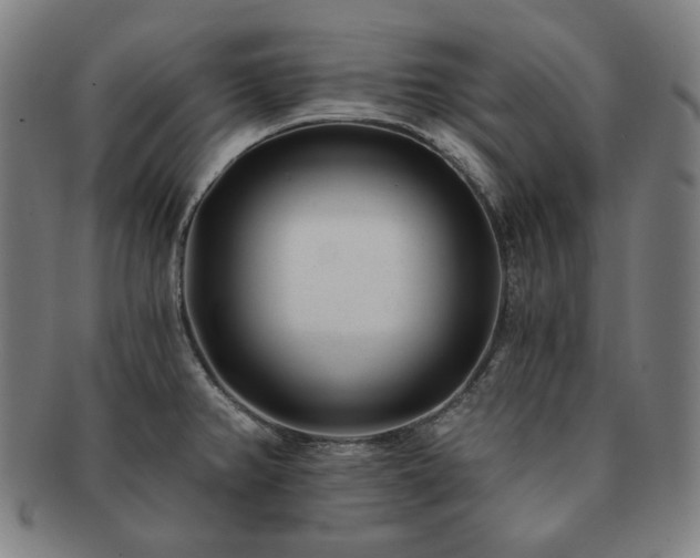 X0000091471382200708231329