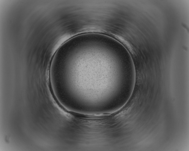 X0000091471383200708231329