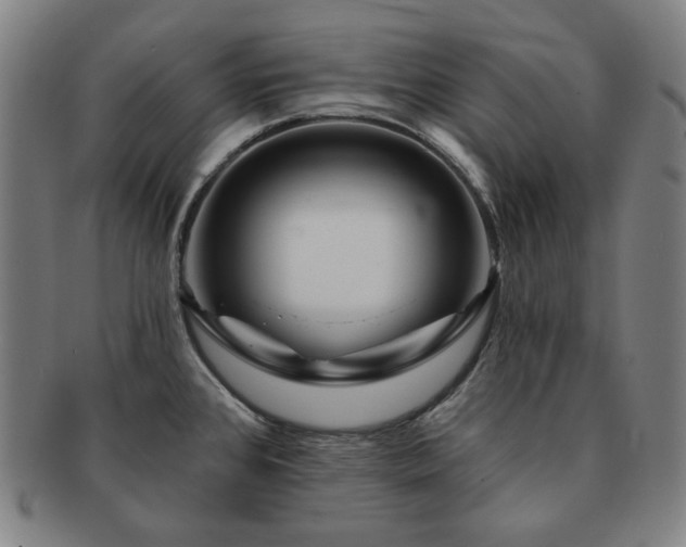 X0000091471384200708231329