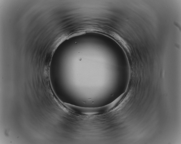 X0000091471385200708231329