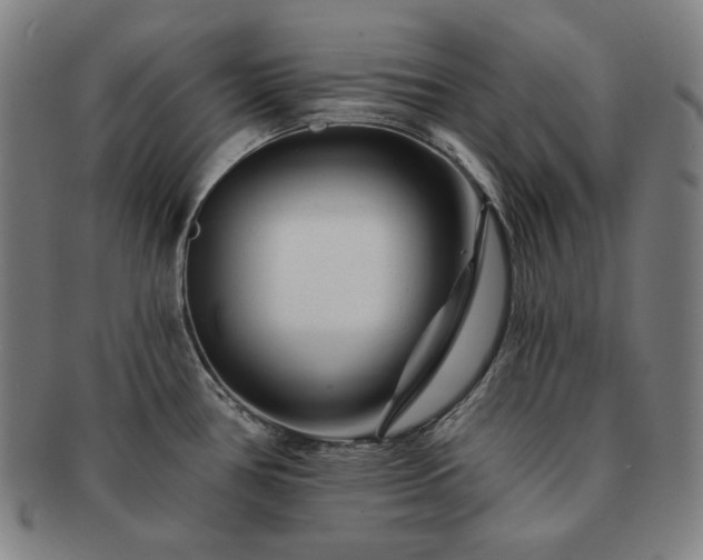 X0000091471386200708231329