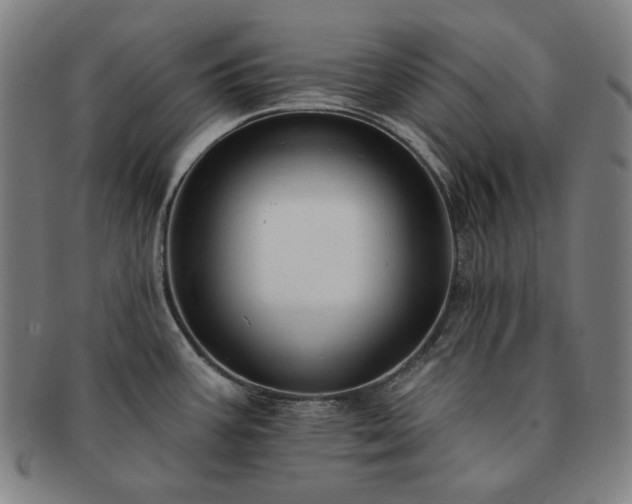 X0000091471387200708231329