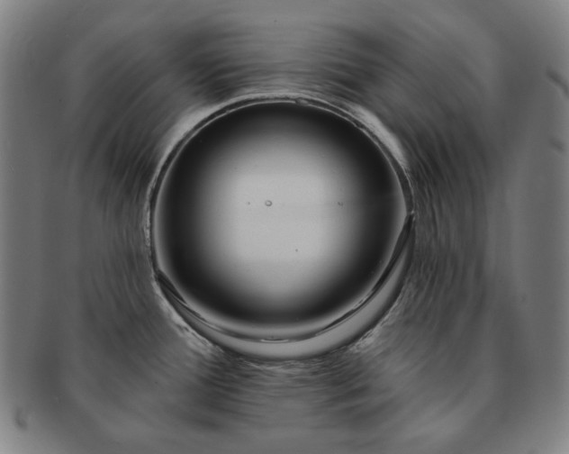 X0000091471388200708231329