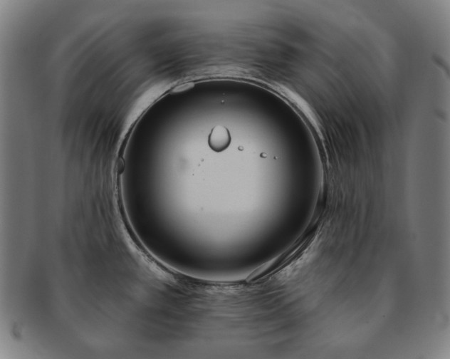 X0000091471389200708231329