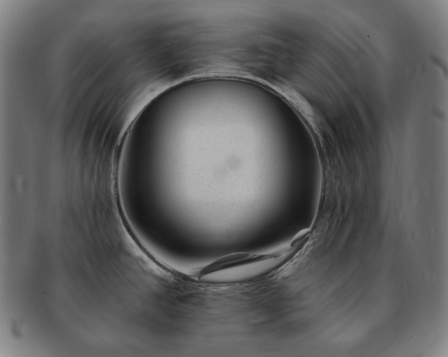 X0000091471390200708231329